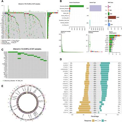 Molecular Characteristics of m6A Regulators and Tumor Microenvironment Infiltration in Soft Tissue Sarcoma: A Gene-Based Study